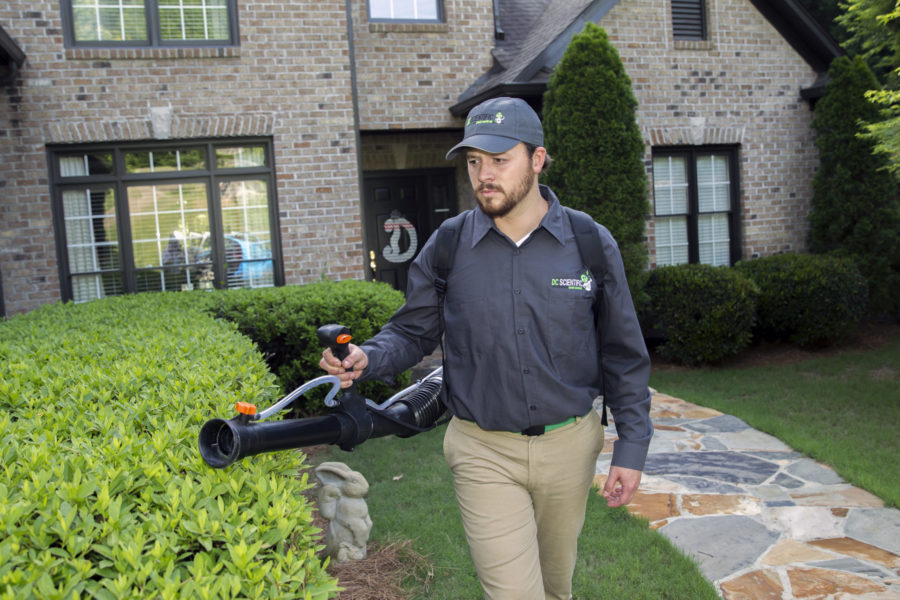 Why Should You Control Mosquitoes in Your Houses?